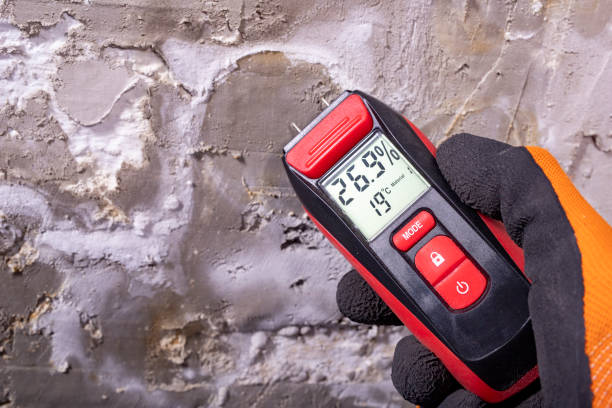 Best Residential Mold Removal  in Mccamey, TX