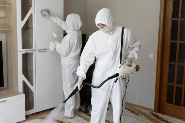 Best Local Mold Removal Service  in Mccamey, TX