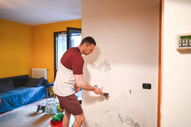 Best Toxic Mold Removal  in Mccamey, TX